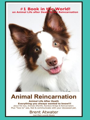 cover image of Animal Reincarnation & Animal Life after Death